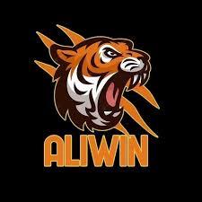 aliwin Cash Elite